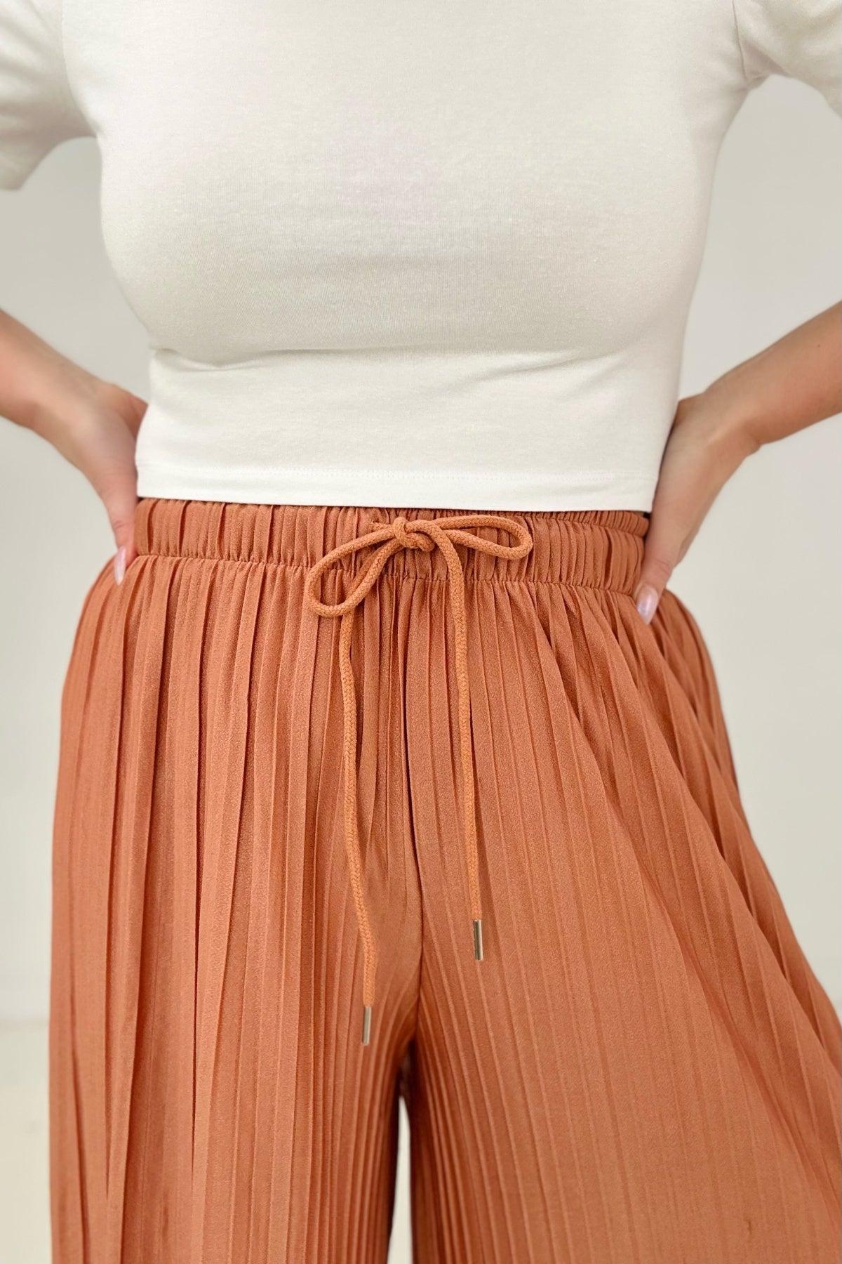 Woven Pleated Wide Leg Pants With Lining